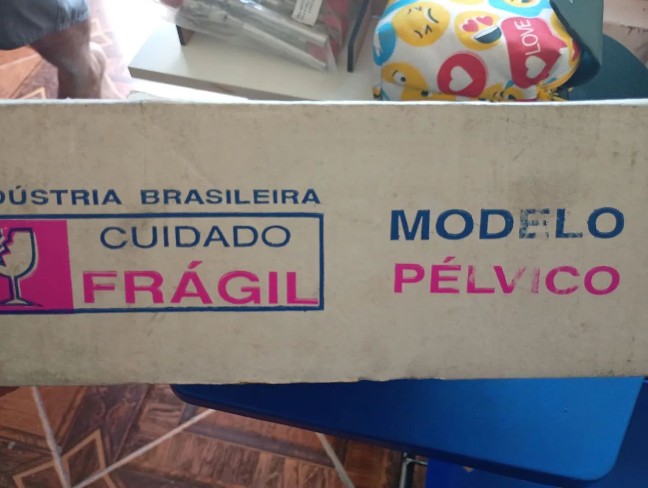 Modelo pélvico  - Foto 3