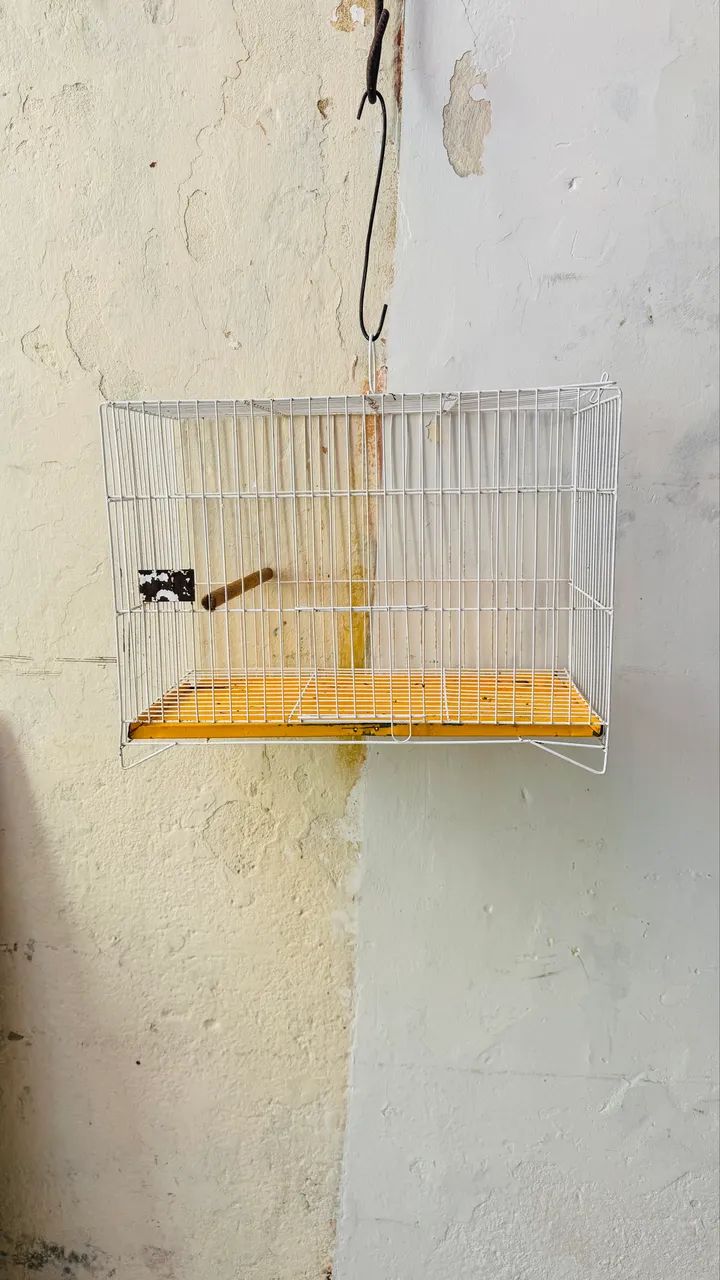 Gaiolas e ninheira  - Foto 2