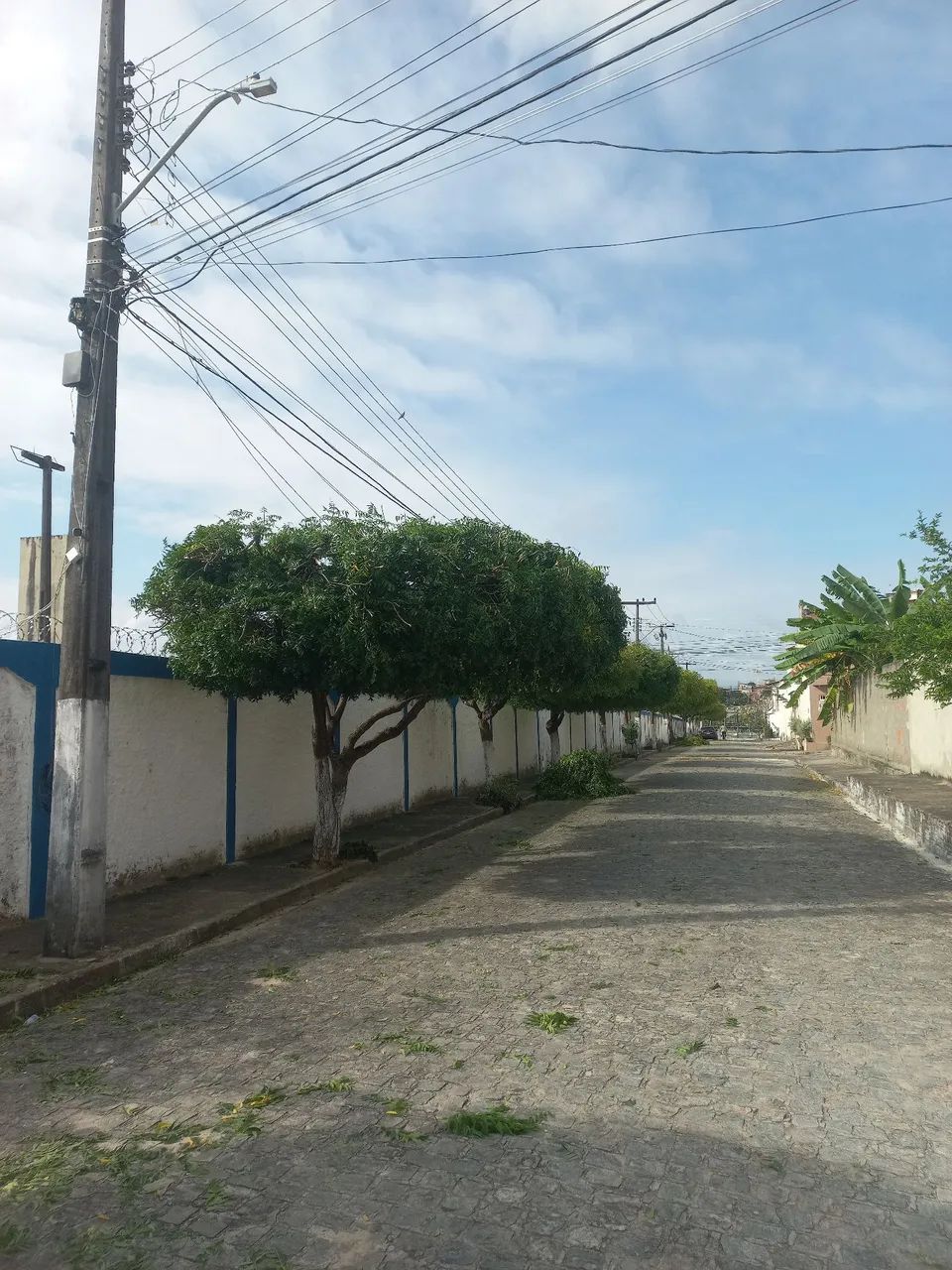 Jardinagem Serviço  - Foto 3