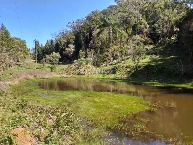 Sítio à venda em Águas Mornas/SC - Foto 4