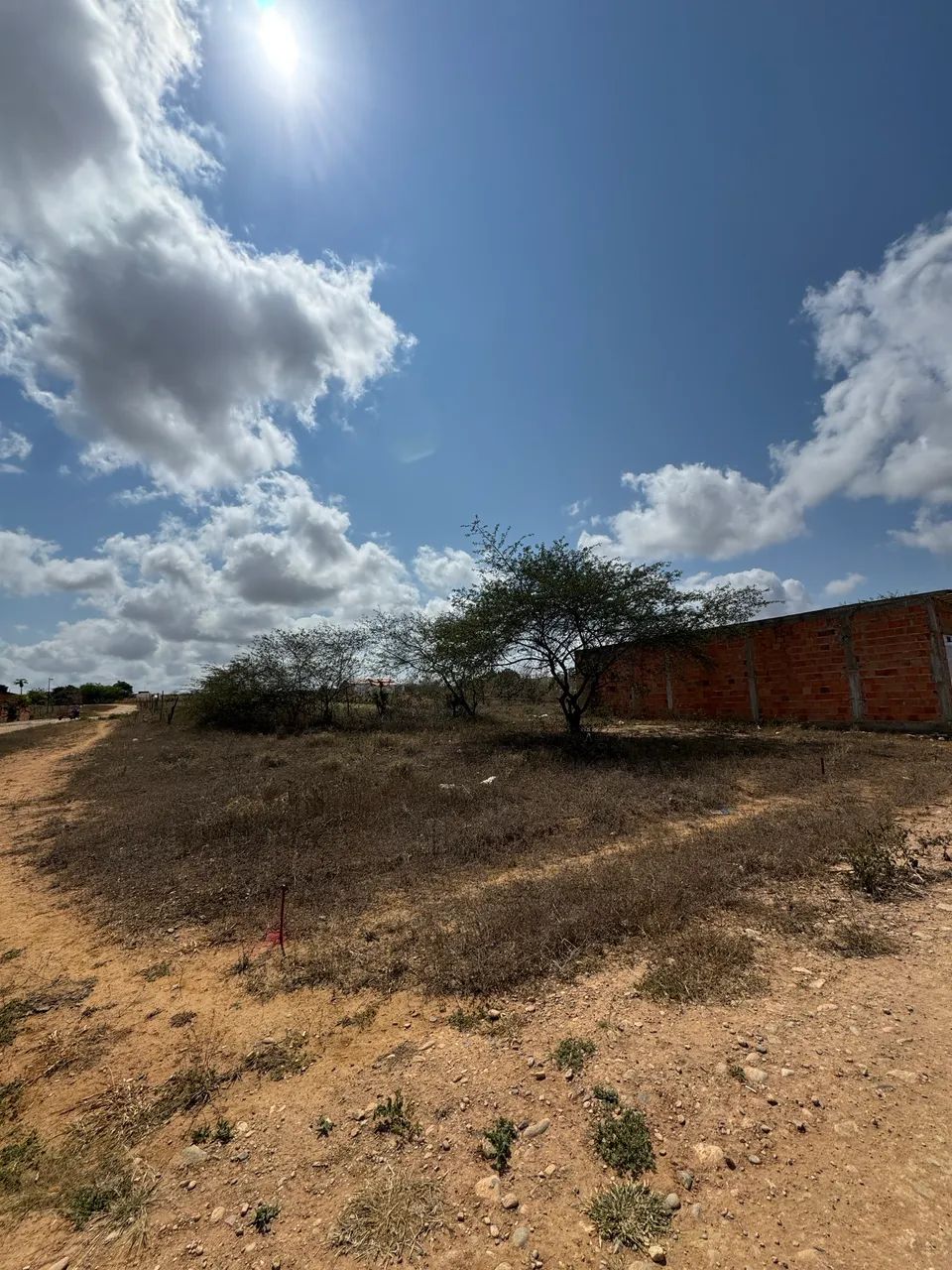 LOTES A PARTIR DE 7x25m  - Foto 2