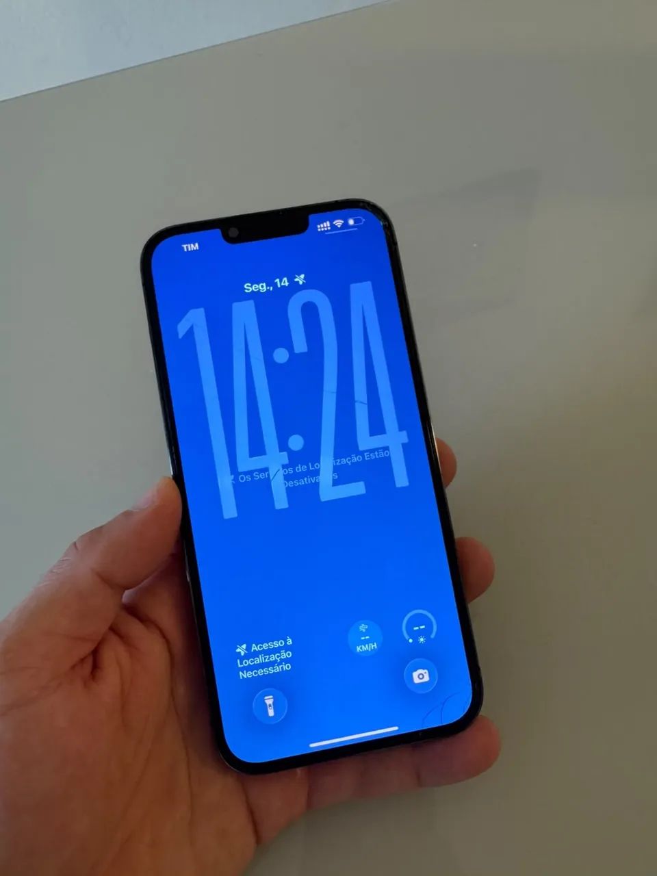 iPhone 13 Pro Max (256 GB)