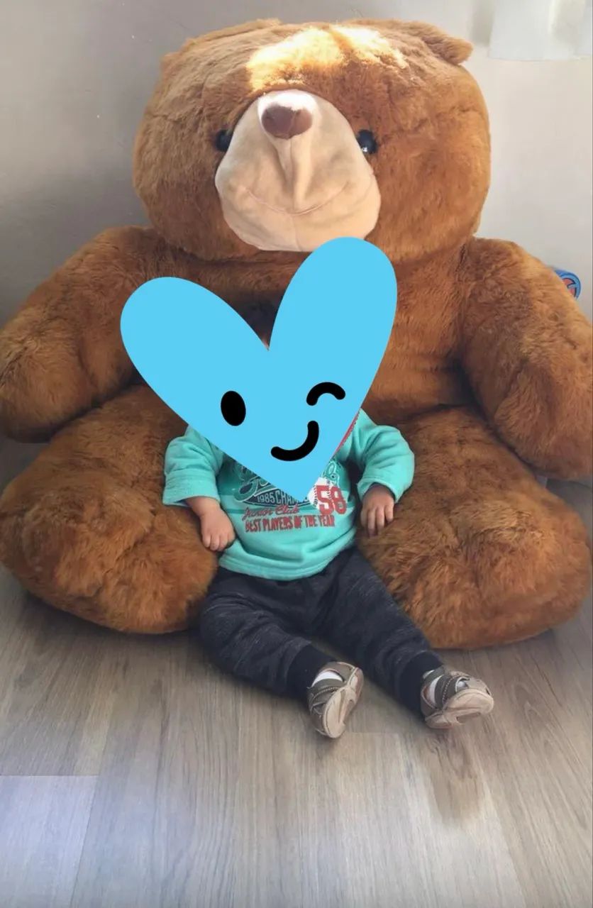 Urso marrom gigante - Foto 3