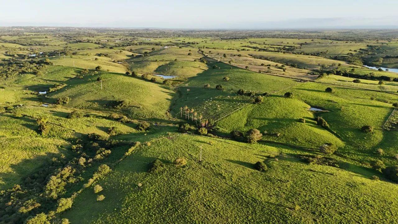 fazenda com 120 hectares na região de Monte Alegre - Foto 3