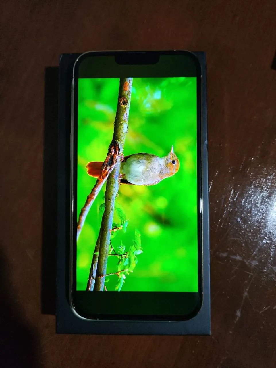 iPhone 13 pro Max Dourado única dona  - Foto 4
