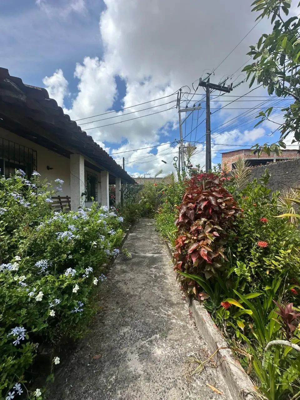 Casa 2/4 (tipo chácara) - Foto 5
