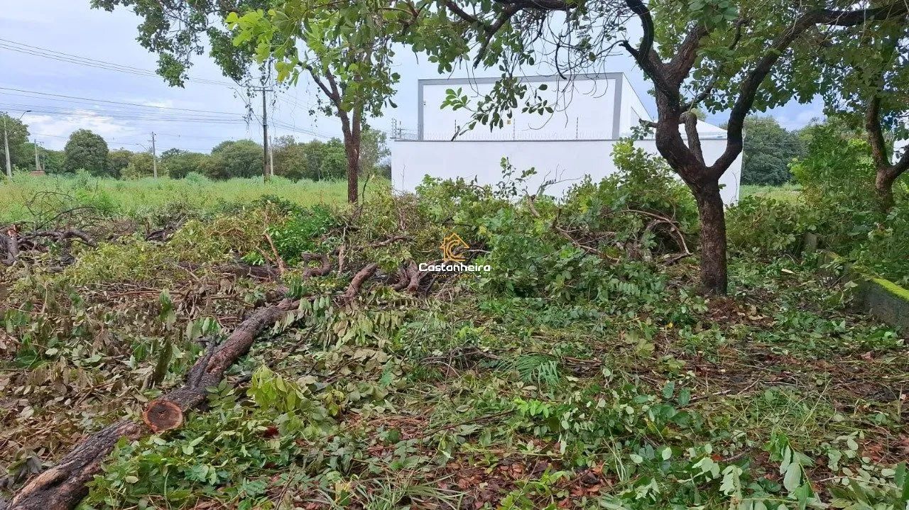 Lote - 660 m² - Plano Diretor Sul - Foto 4