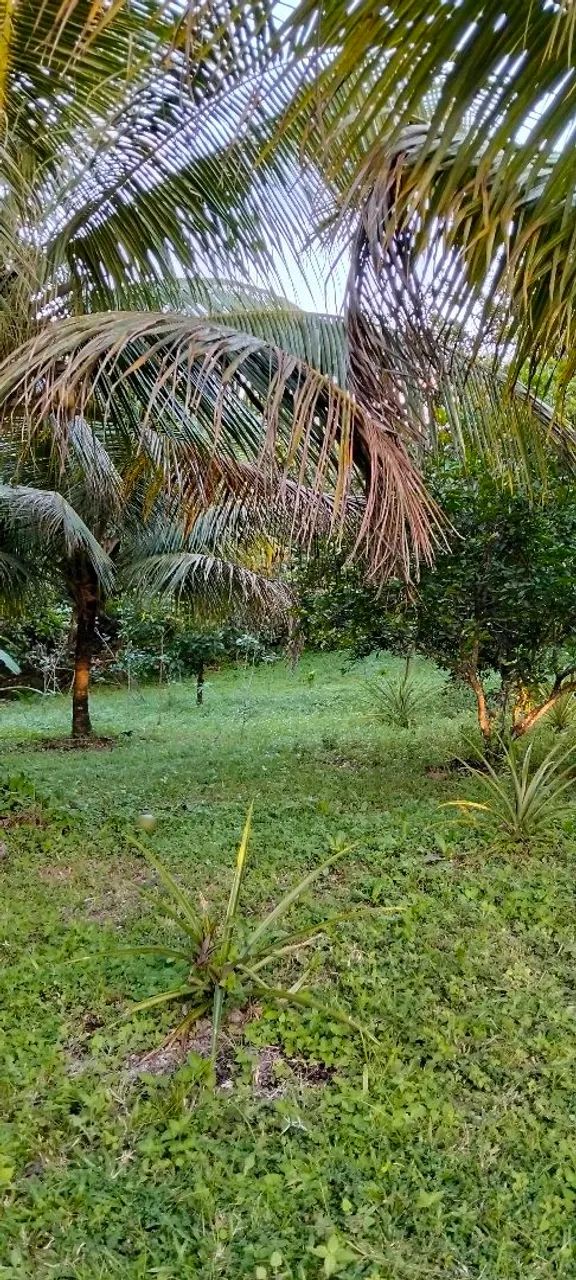 Lotes de terreno e mini chácaras  - Foto 4