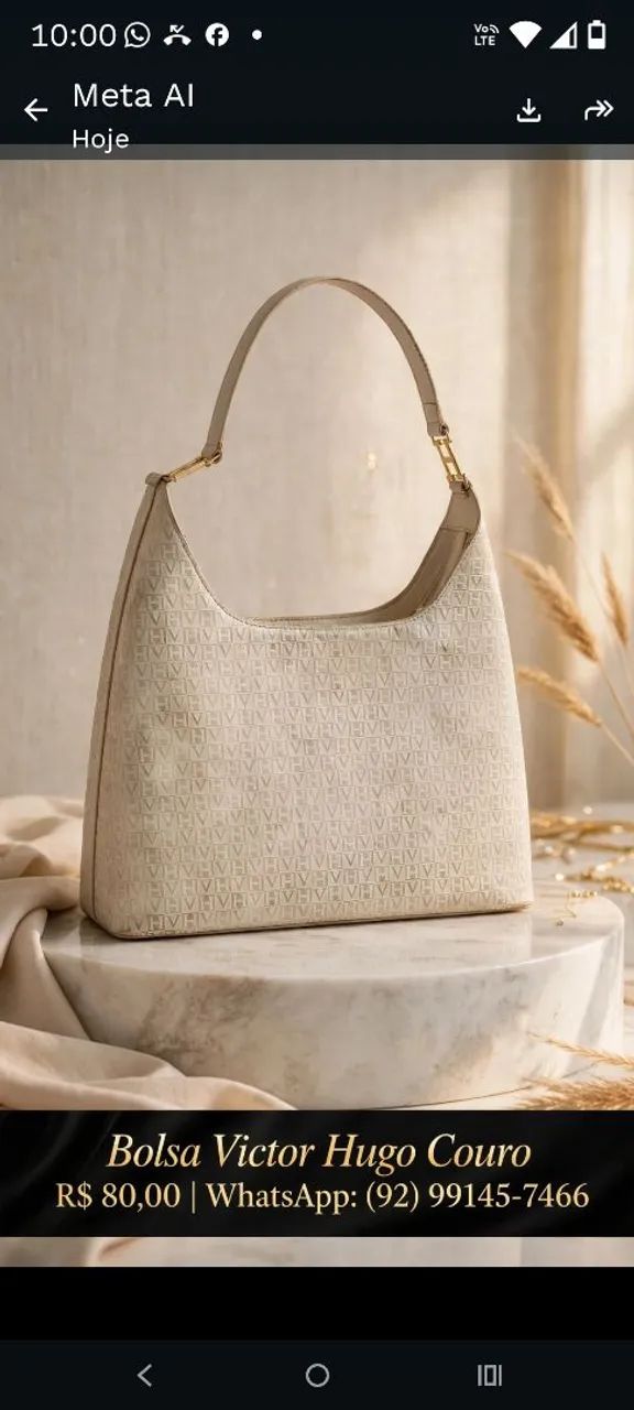 Bolsa vitohugo 