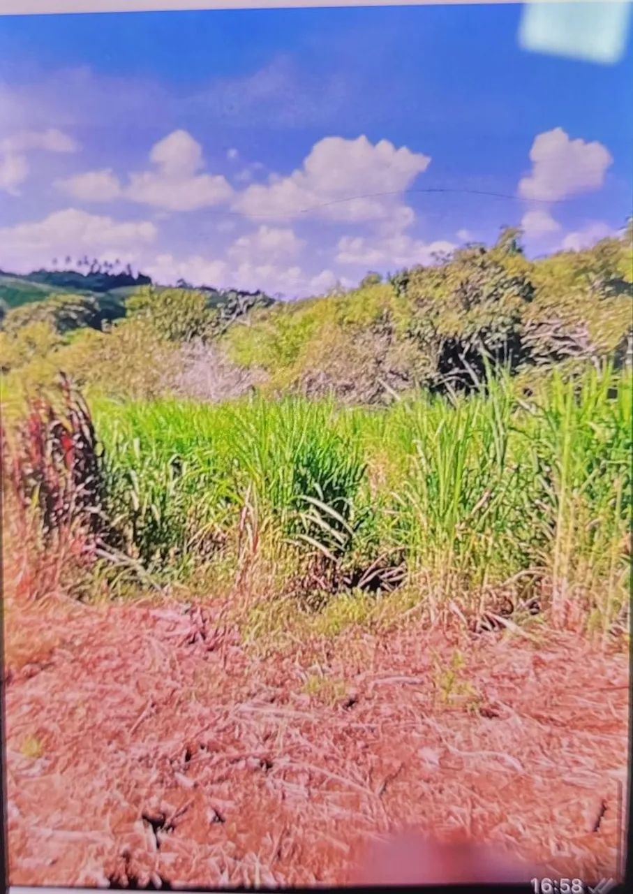 Vende-se ou troco Sitio  - Foto 5