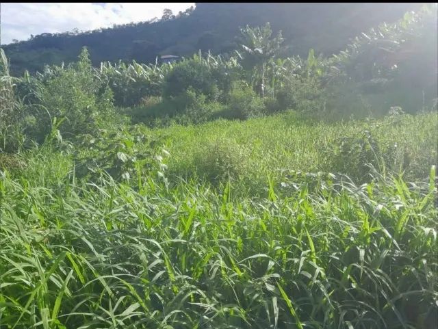 7 hectares escriturado abaixou 330 mil