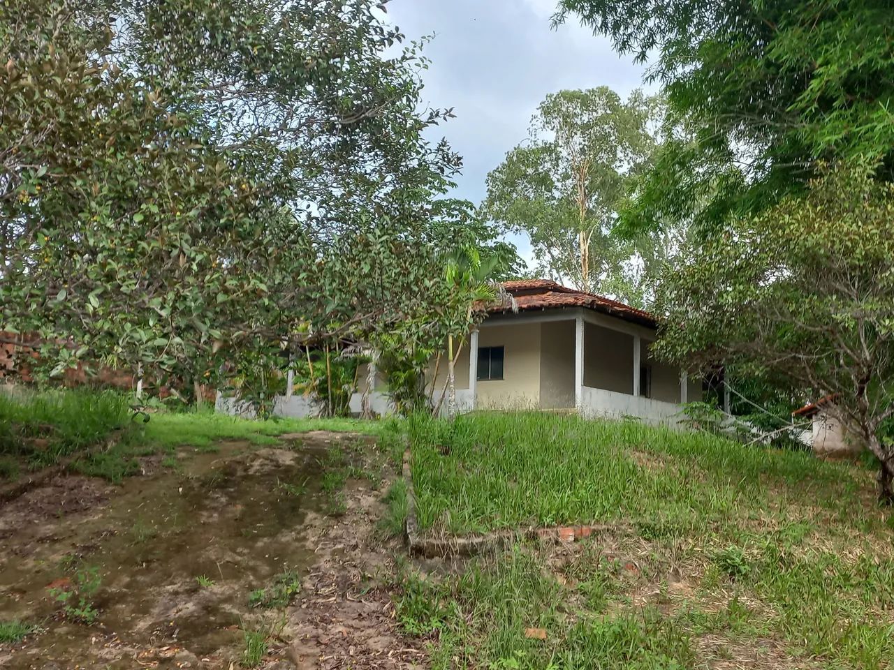 Sitio Maravilha - Foto 5