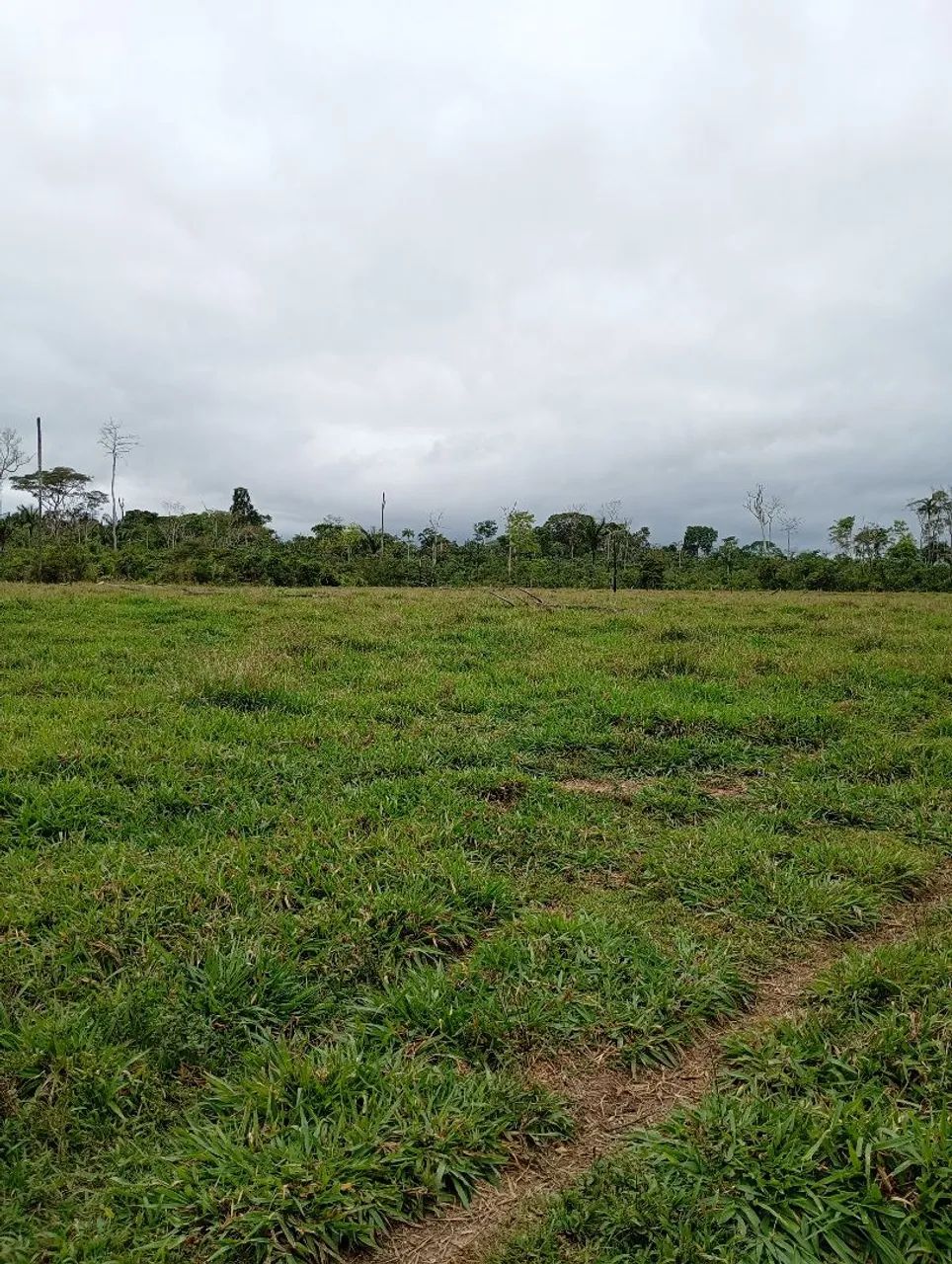 Não tem  - Foto 5