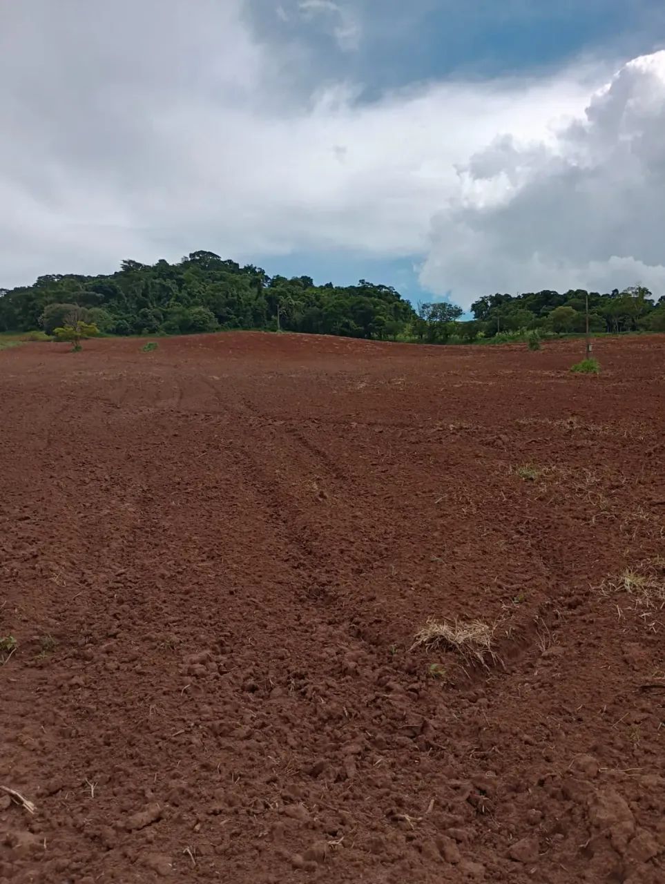 Sitio em Vargem SP perto da represa - Foto 3