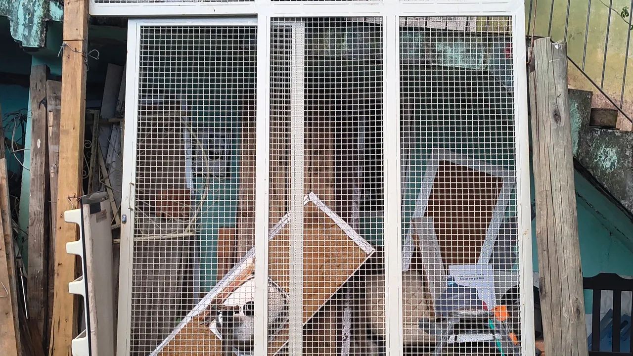 portão de ferro - Foto 2