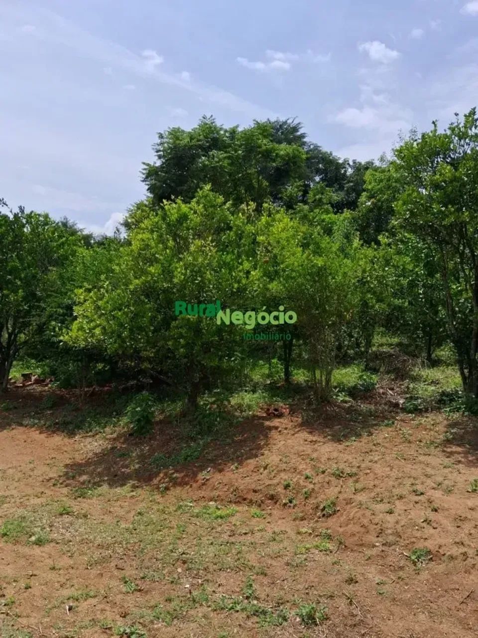 CHÁCARA FORMADA COM FÁCIL ACESSO EM PIRANGUINHO-MG - Foto 5