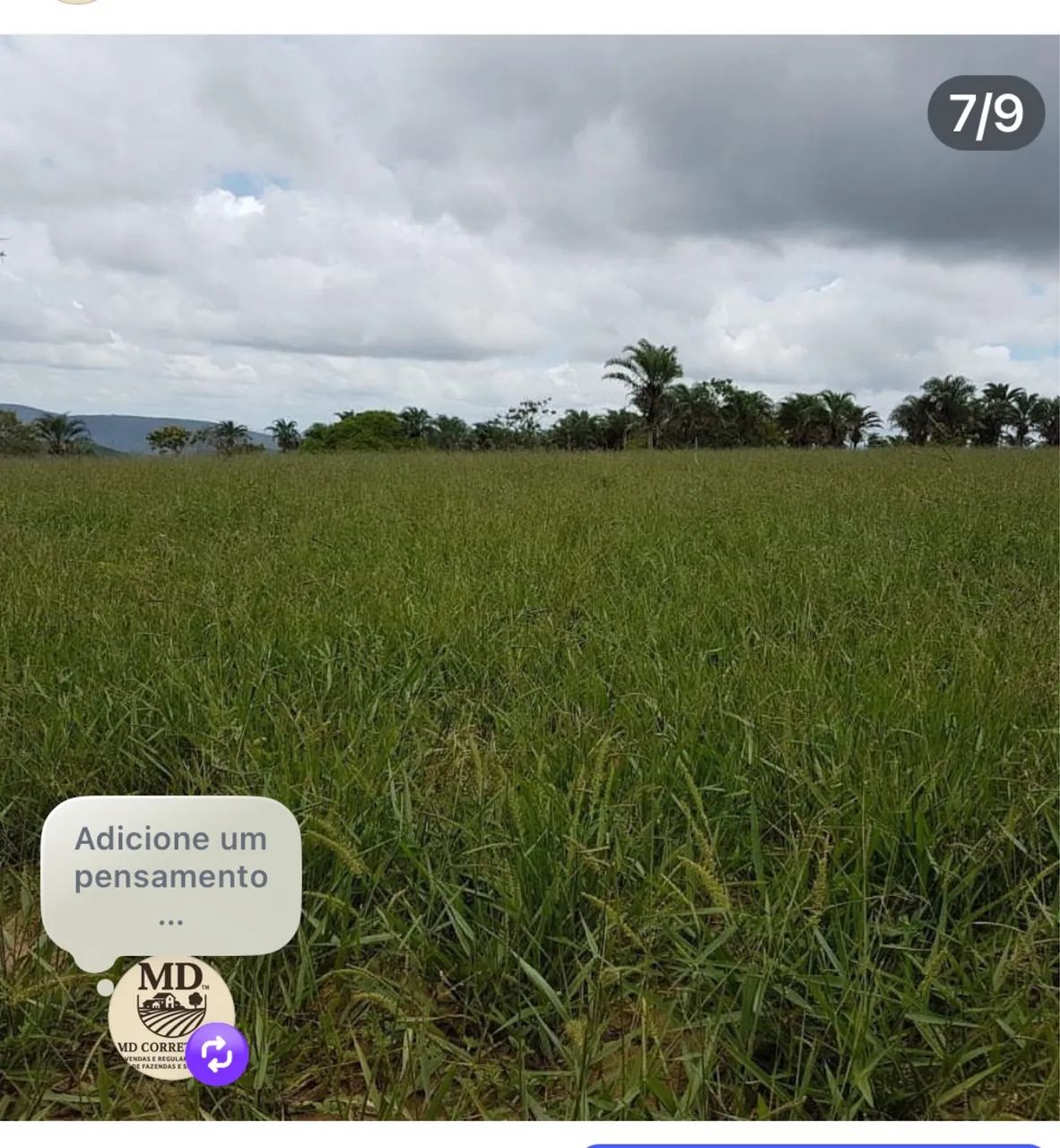 Fazenda em Miguel Calmon-Ba - Foto 5