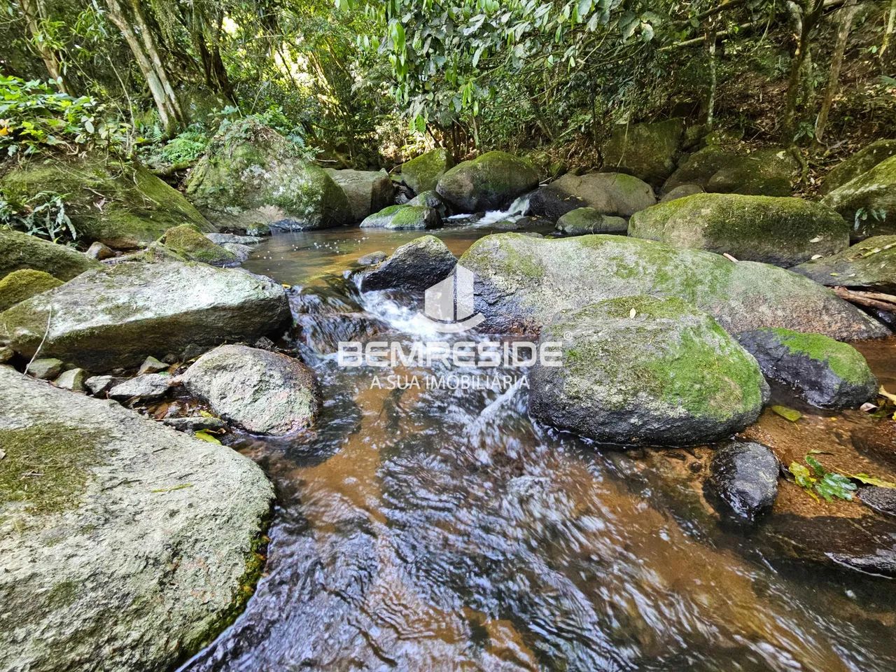 Terreno escriturado com mais de 65 hectares em Pedras Grandes - Foto 2