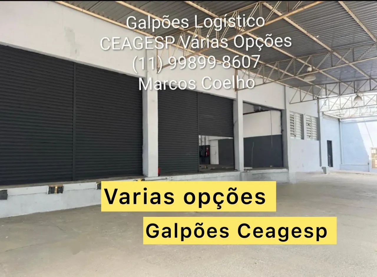 Galpão CEAGESP - Foto 3