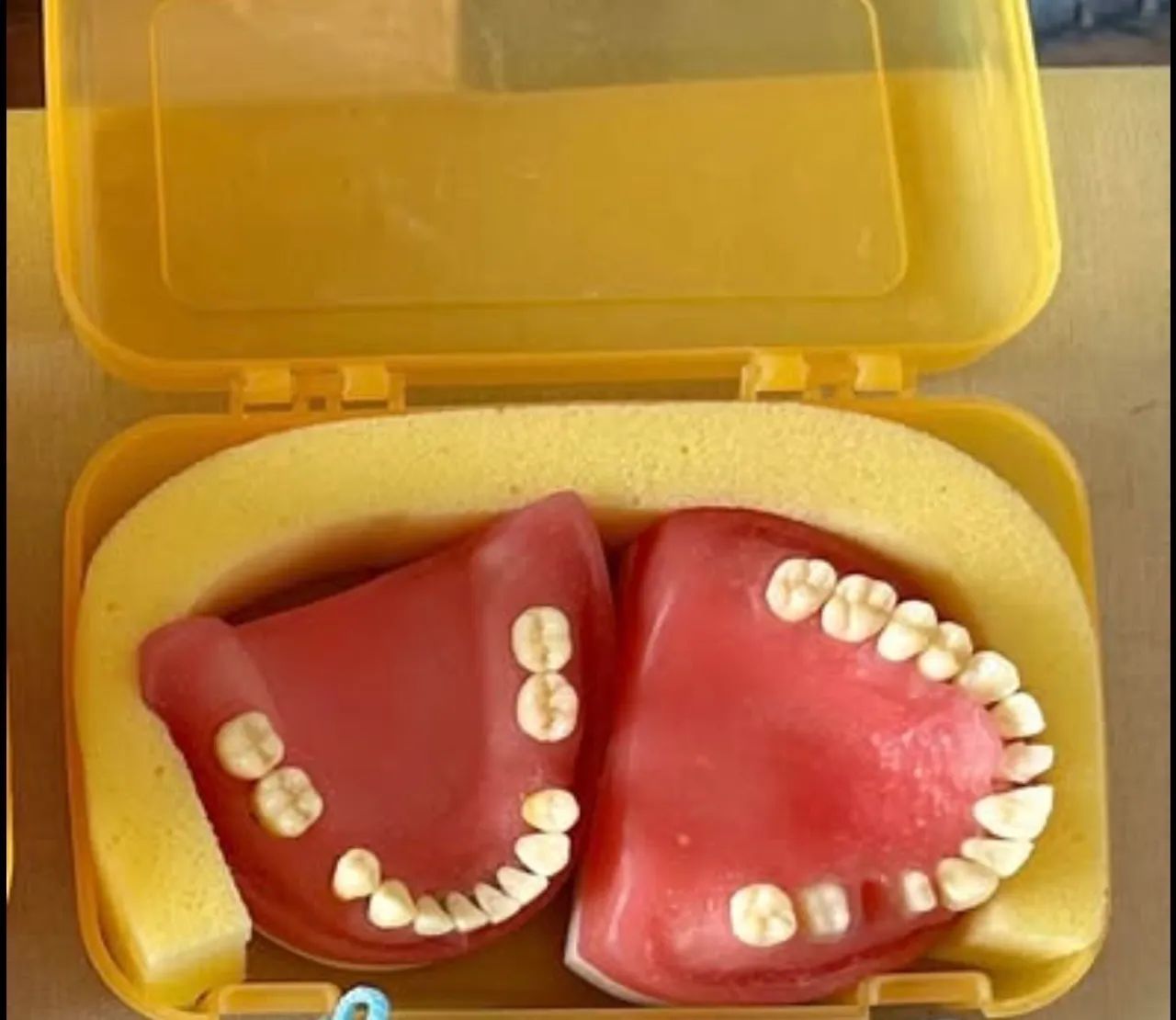 Refil de manequim odontológico da Pronew
