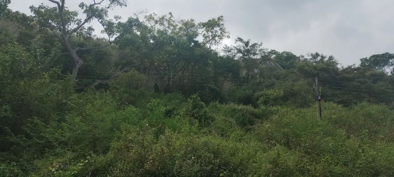 Vendo terreno as margens da BR 104 - Foto 5