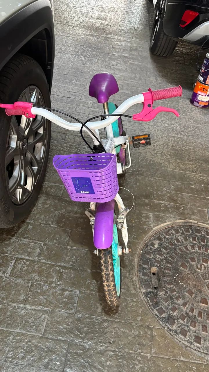 Bicicleta Infantil Caloi Ceci Aro 16