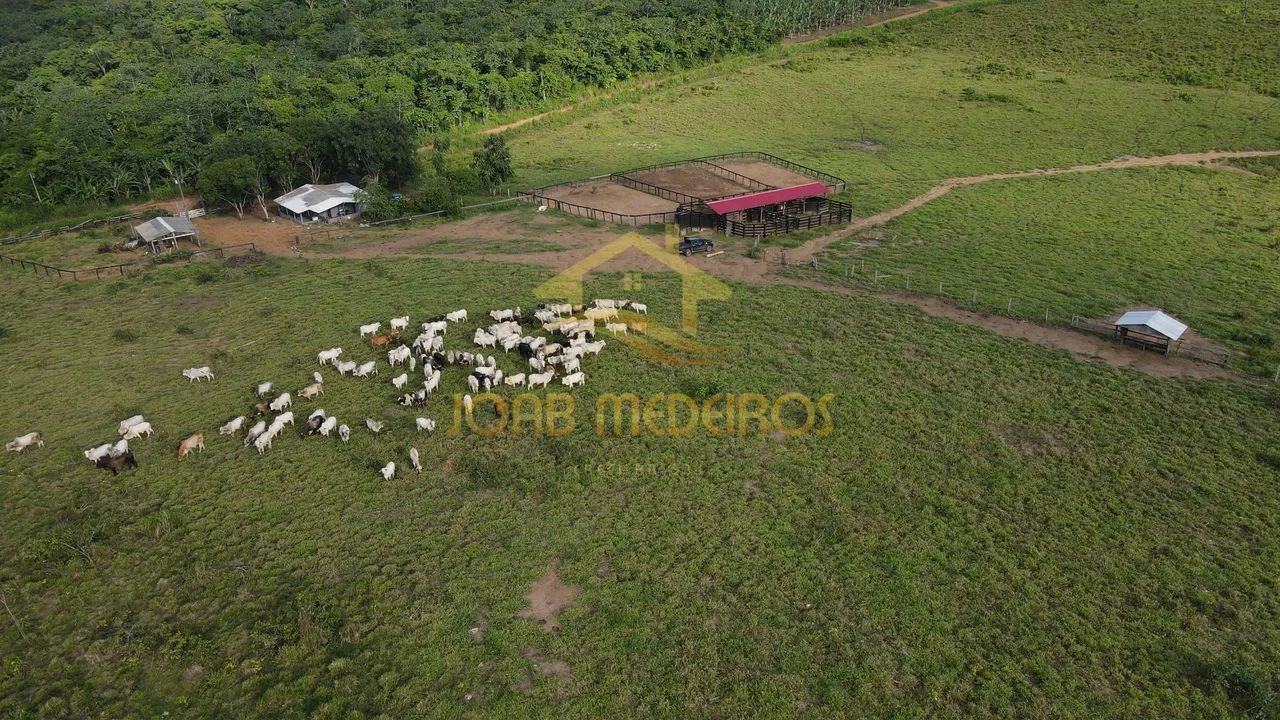 FAZENDA À VENDA - IRACEMA | CAMPOS NOVOS - RR / VENDA - Foto 2