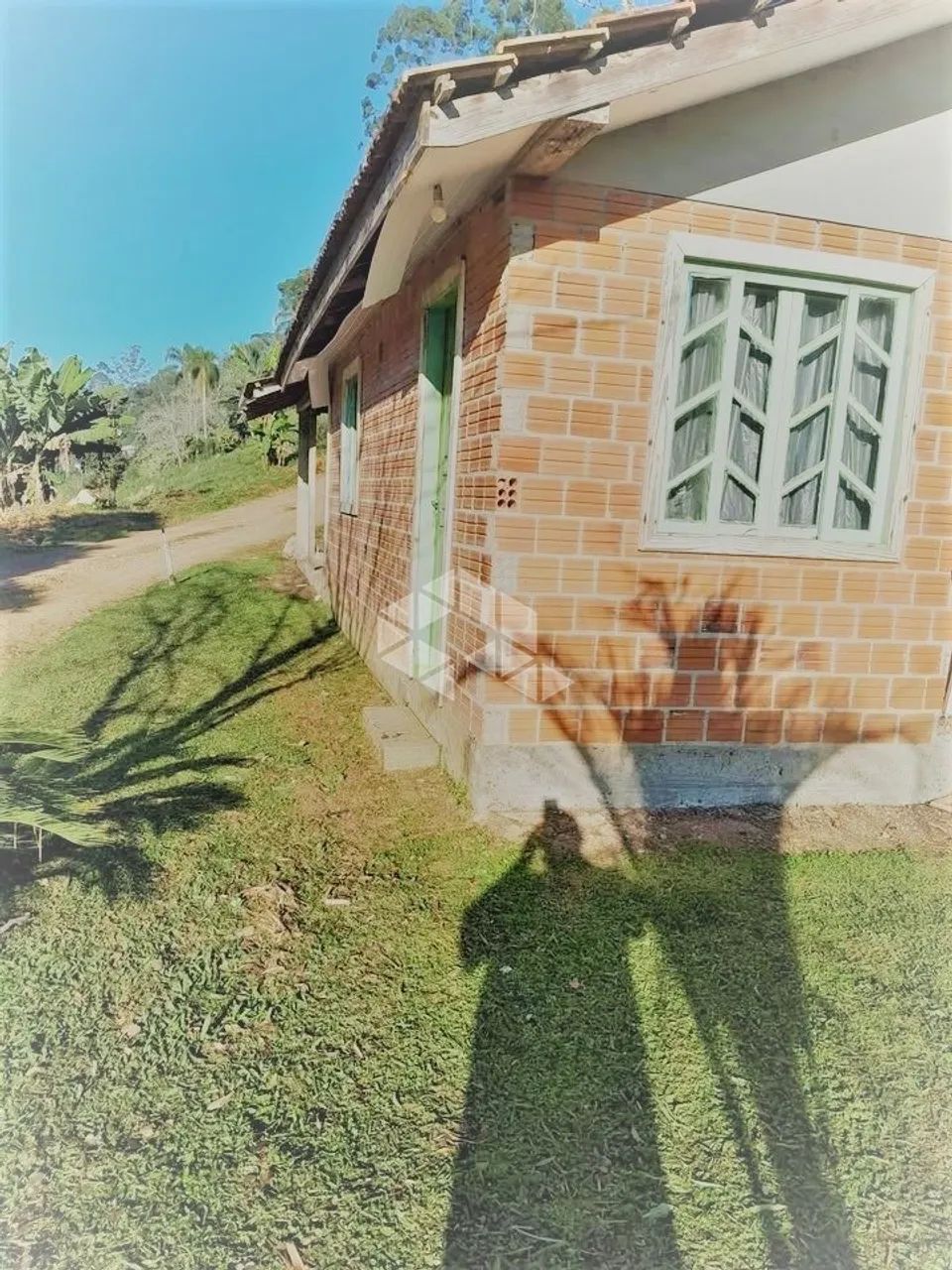 Lindo Sítio à Venda em Angelina/SC ? - Foto 3
