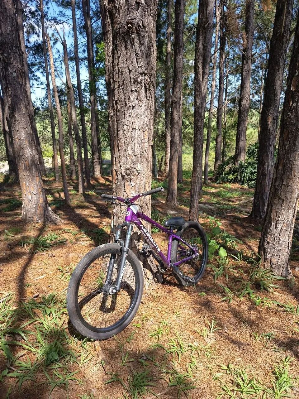 Bicicleta Absolute Brutus Pro aro 26 - Foto 4