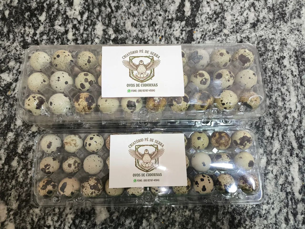 Ovos de codornas frescos direto do produtor  - Foto 6