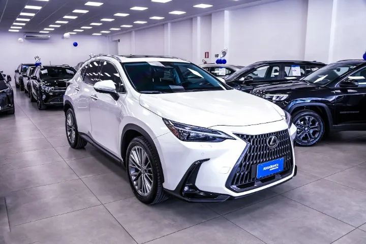 Lexus NX-350h Luxury 2.5 16V Aut. (hybrid), foto 7 de 20