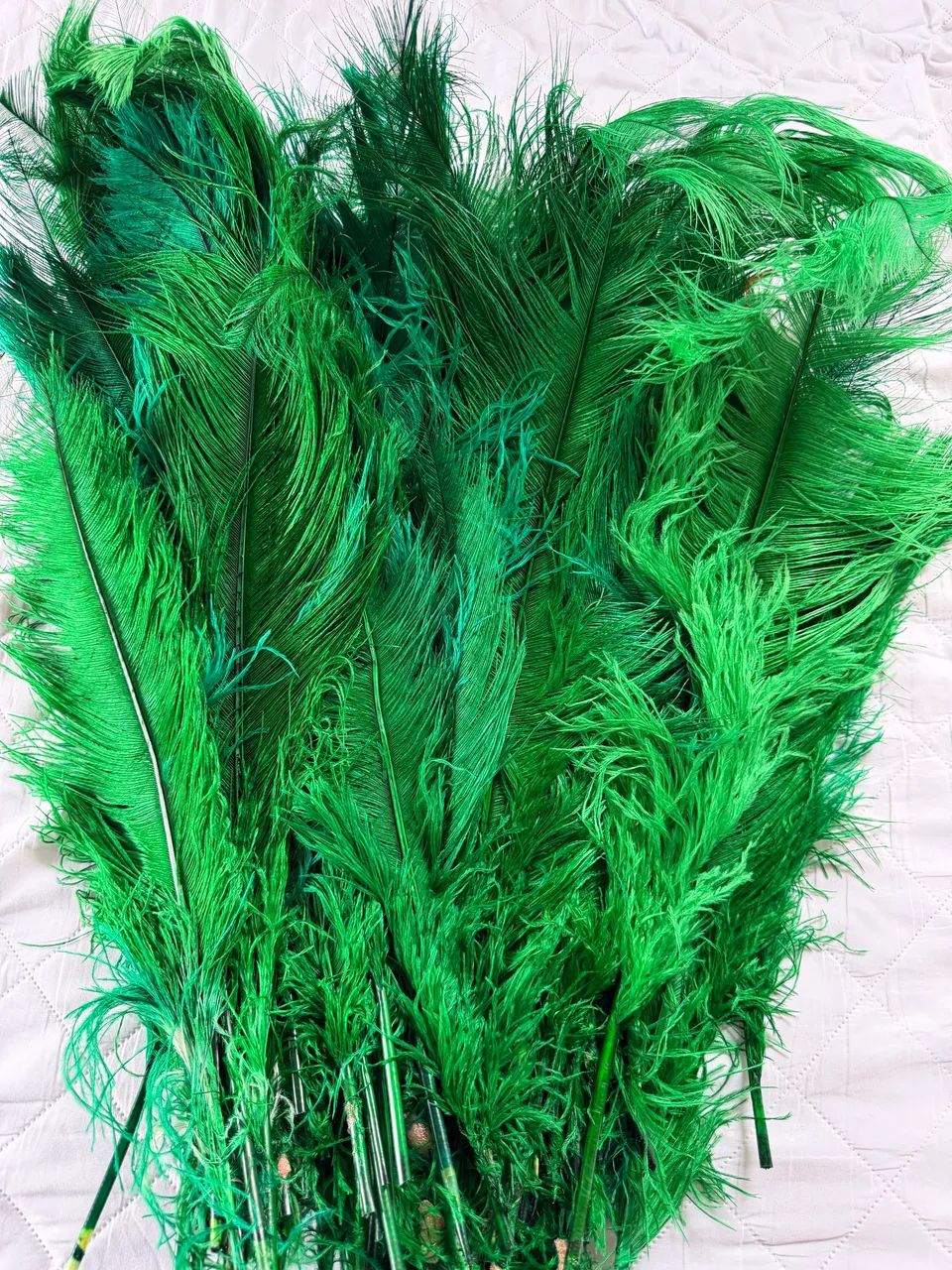 Plumas para decoração 