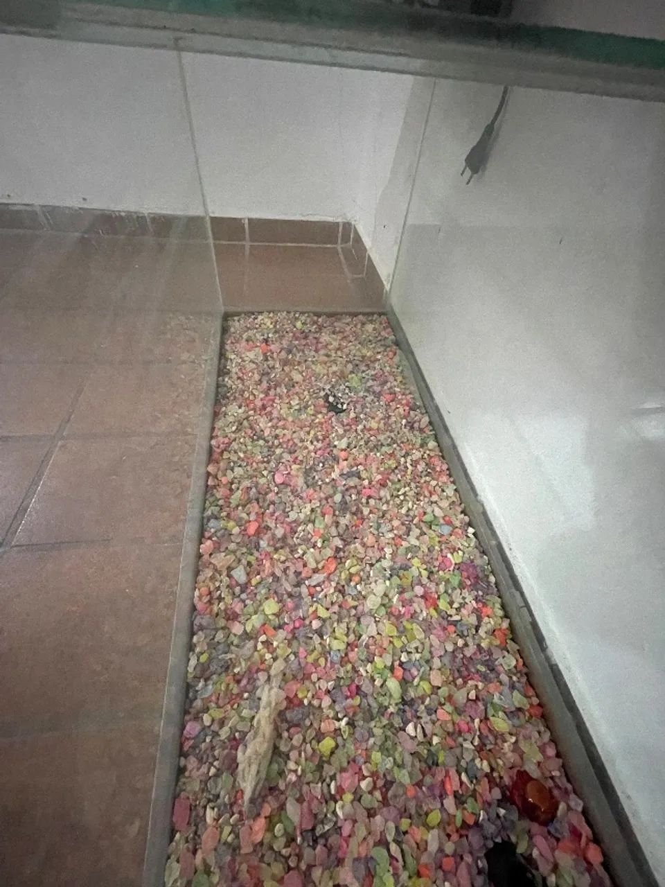 Aquário de 10 litros  - Foto 6