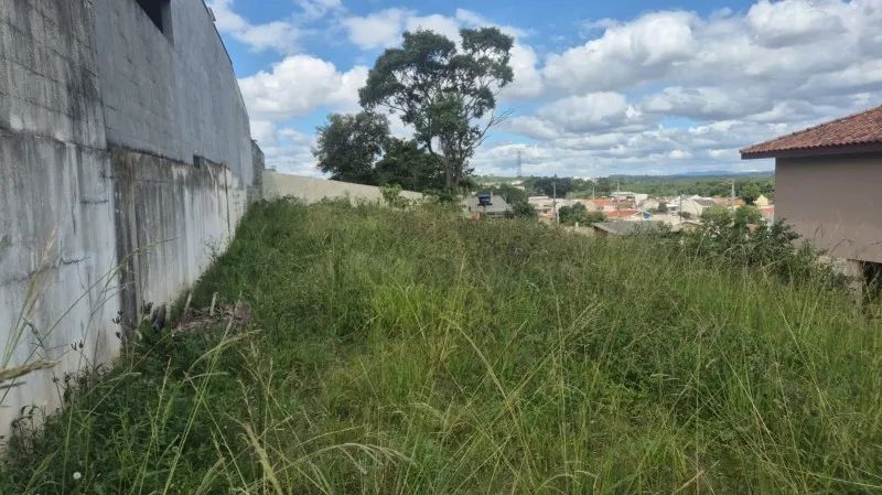 ****LOTE NO IGUAÇU****** - Foto 3