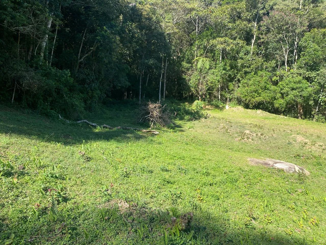 Terreno Catarina Mendes - Foto 3