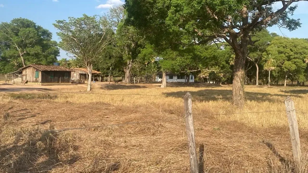 Fazenda à venda  Região de Poconé/MT codigo: 365790 - Foto 2