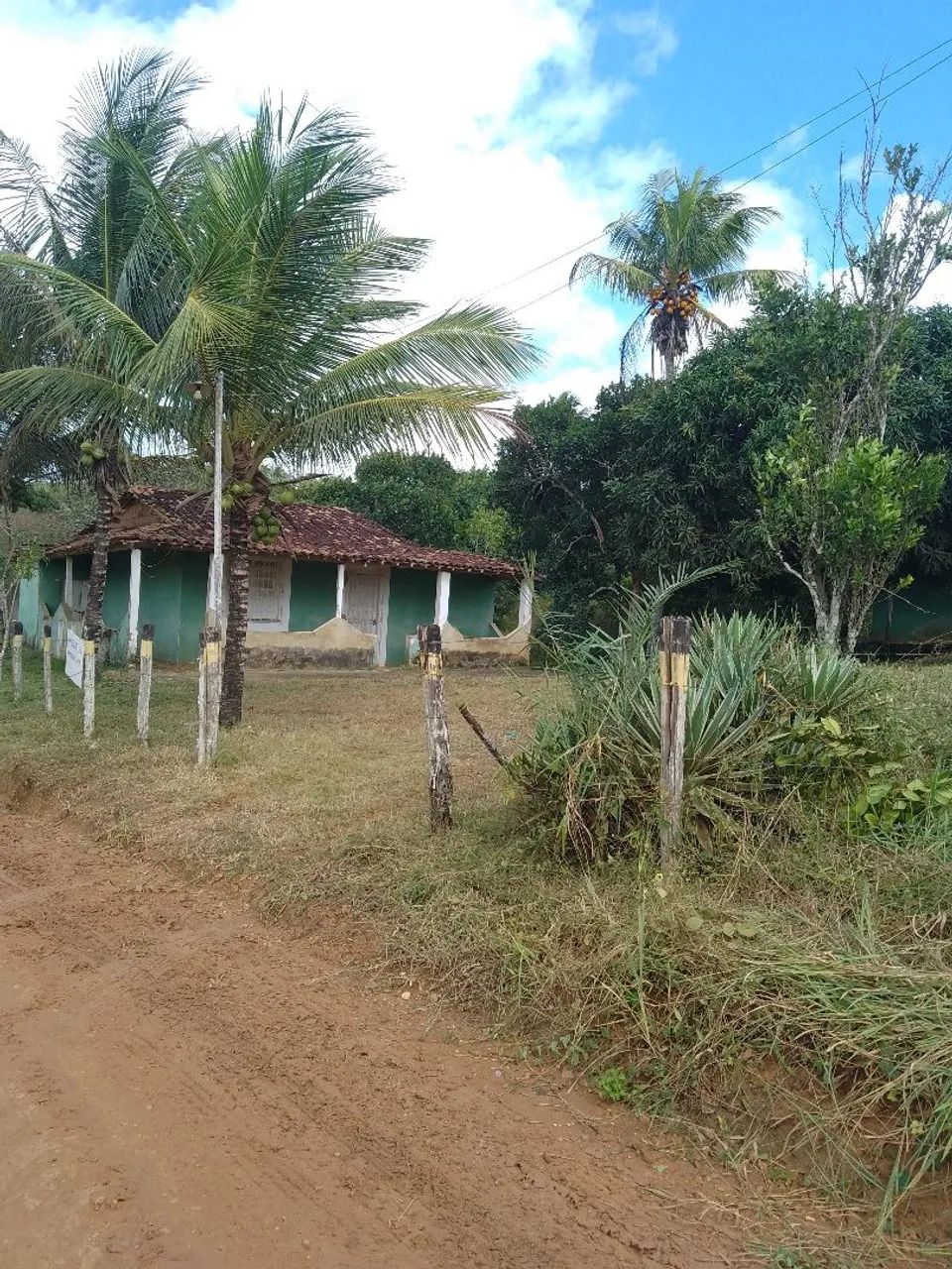 Sitio em salgado-se - Foto 5