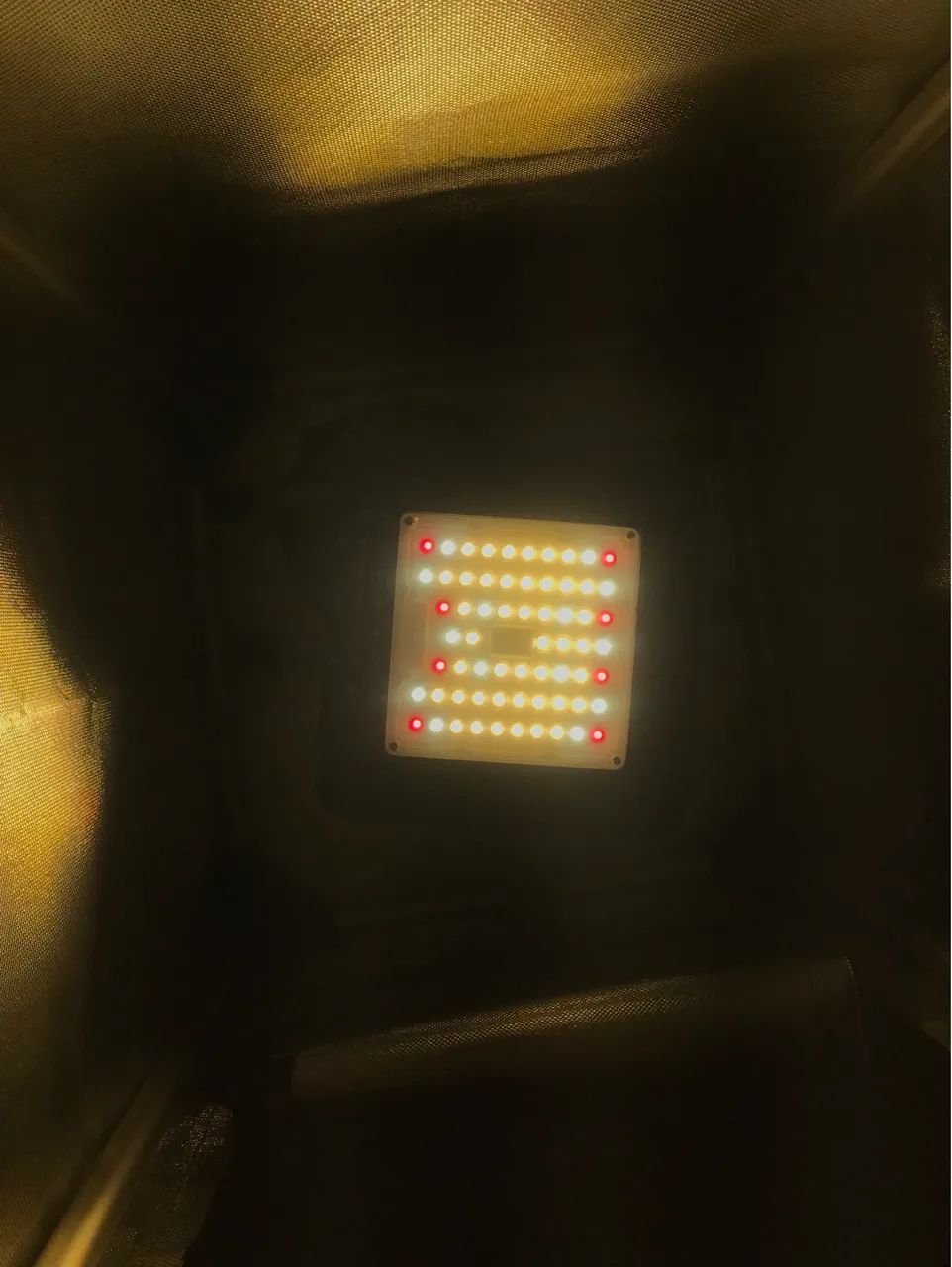 Grow 40x40 mais Led Quantum bord 60 w - Foto 3