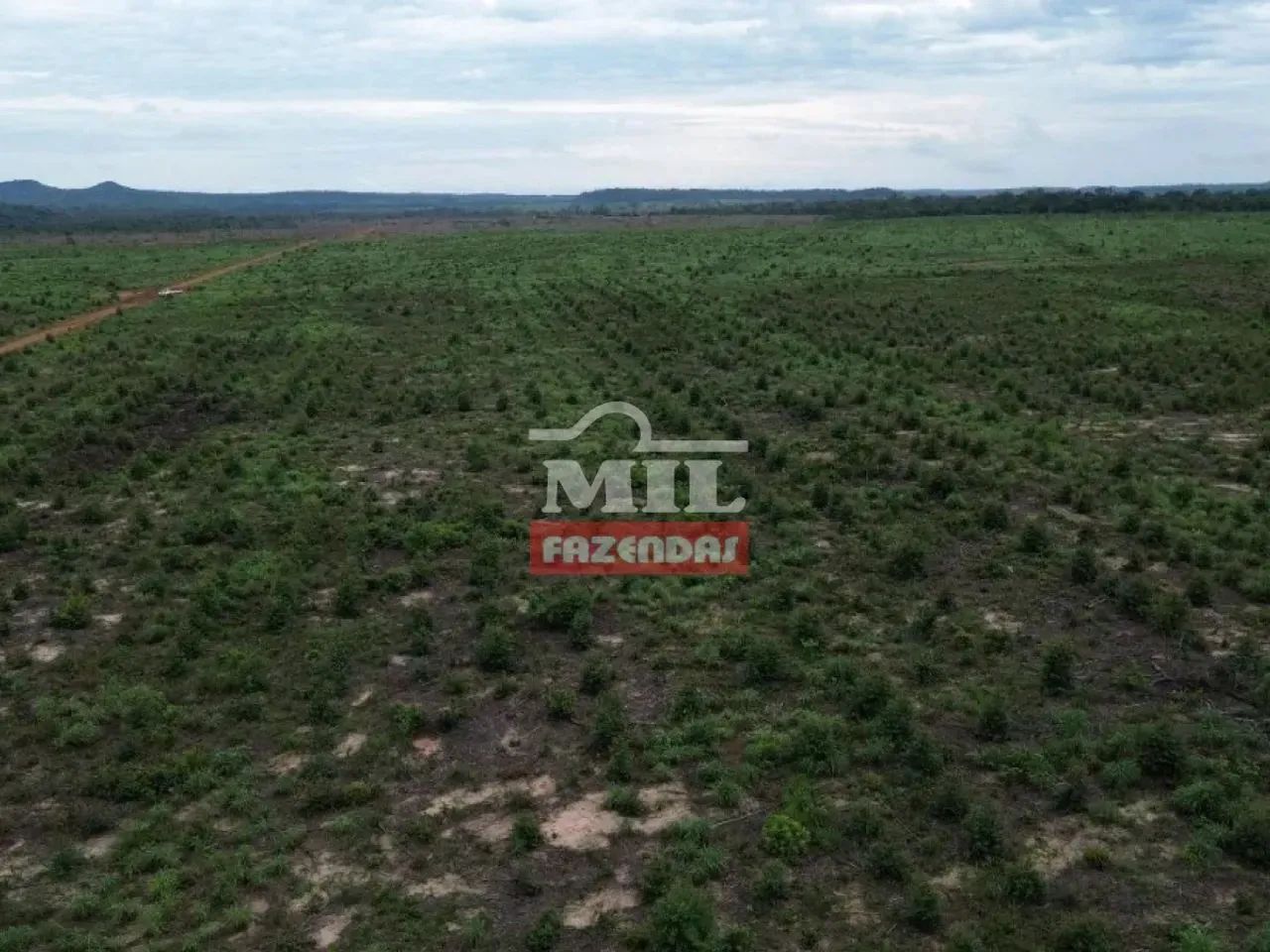 Fazenda 745 alqueires (3.607 hectares) Goiatins - Go - Foto 2
