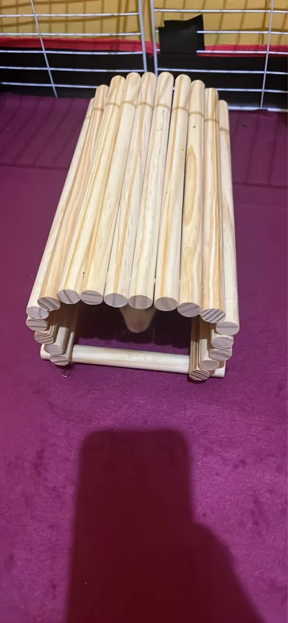 Porquinho da índia  - Foto 5