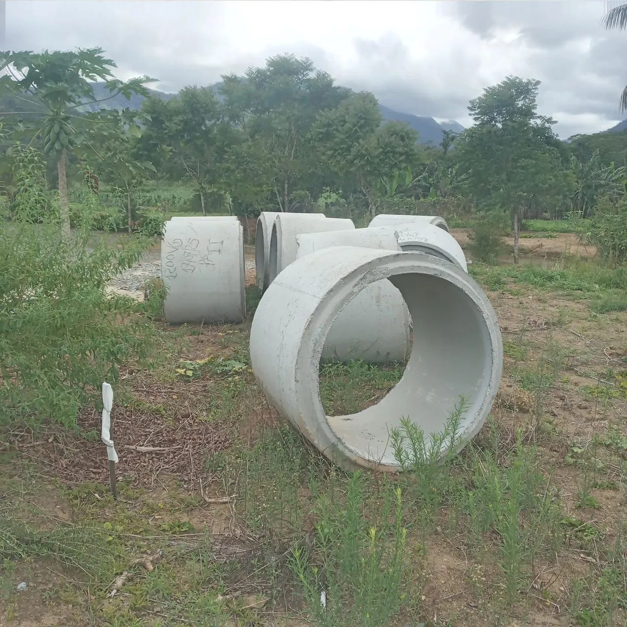 Tubo de concreto 1200 PA2