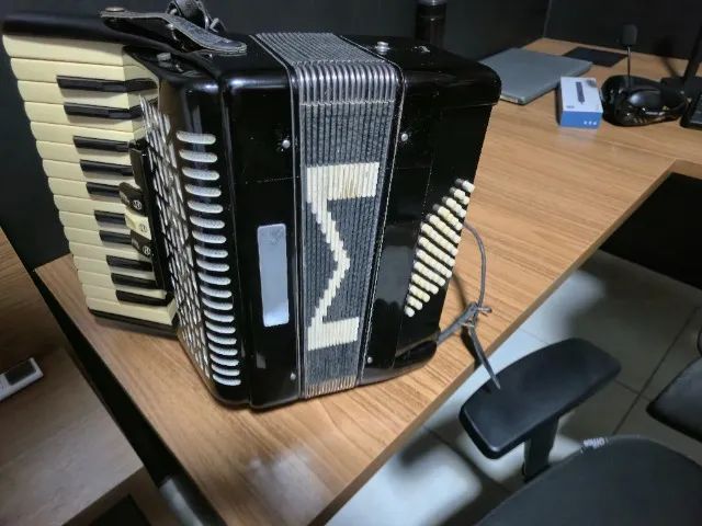 Acordeon sanfona Michael 48 Baixos