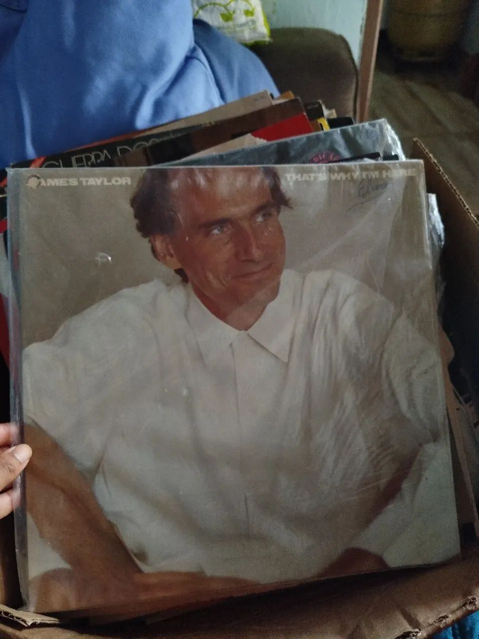 Disco de vinil 