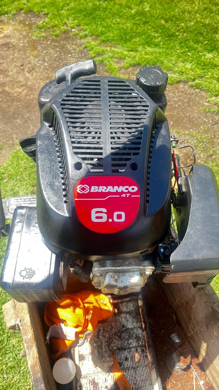 Motor Barco 6.0 Cv  4t- Branco + Rabeta Vertical De Popa