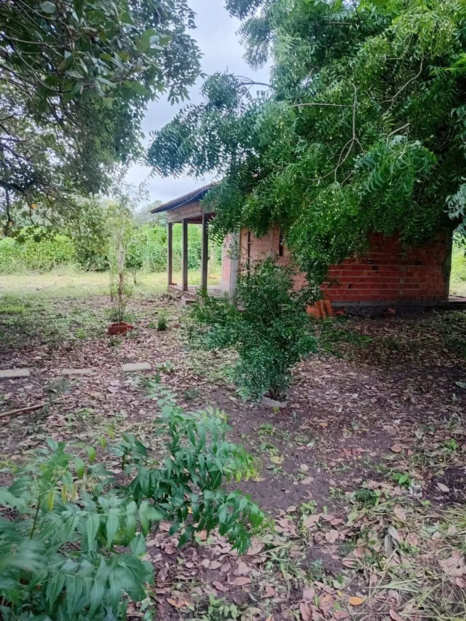 Vendo terreno para sítio no iguaiba  - Foto 4