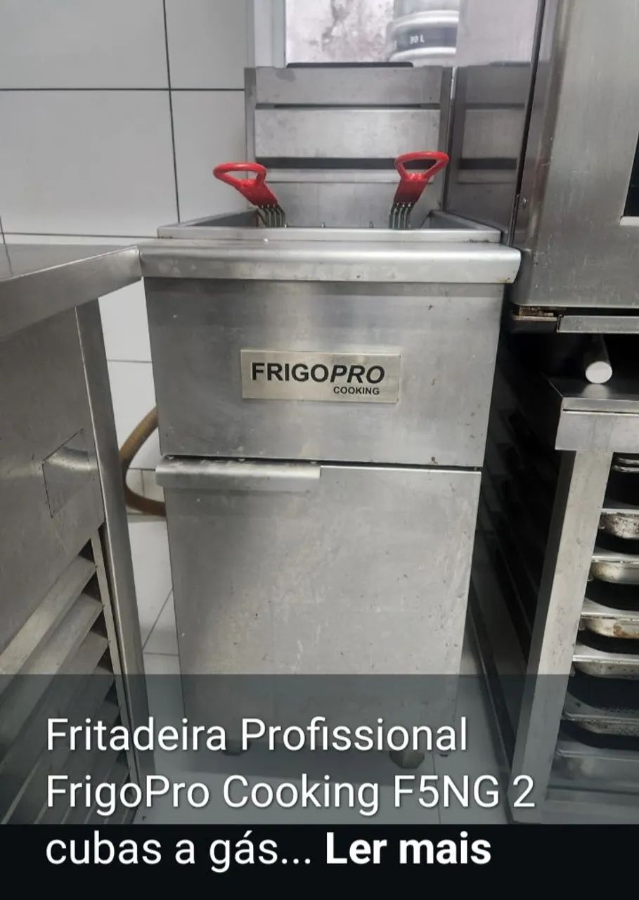 Fritadeira industrial a gás 