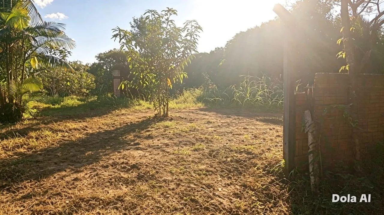 Sitio Em Acutuba  - Foto 2
