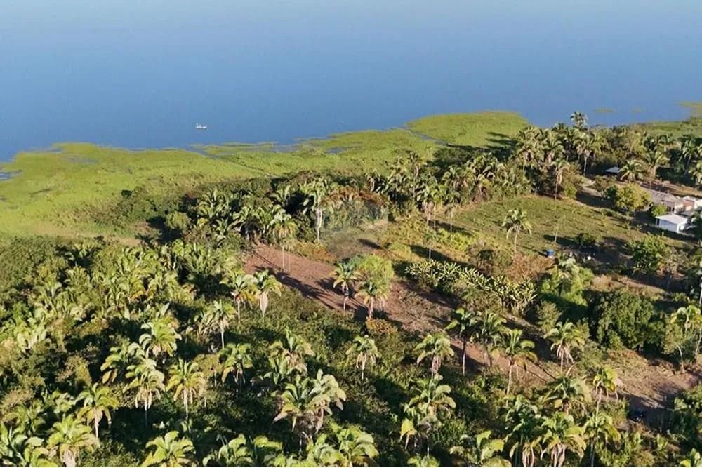 Chácara à Venda | 4.200 m² | APP | 4 km do Centro | Babaçulândia -TO