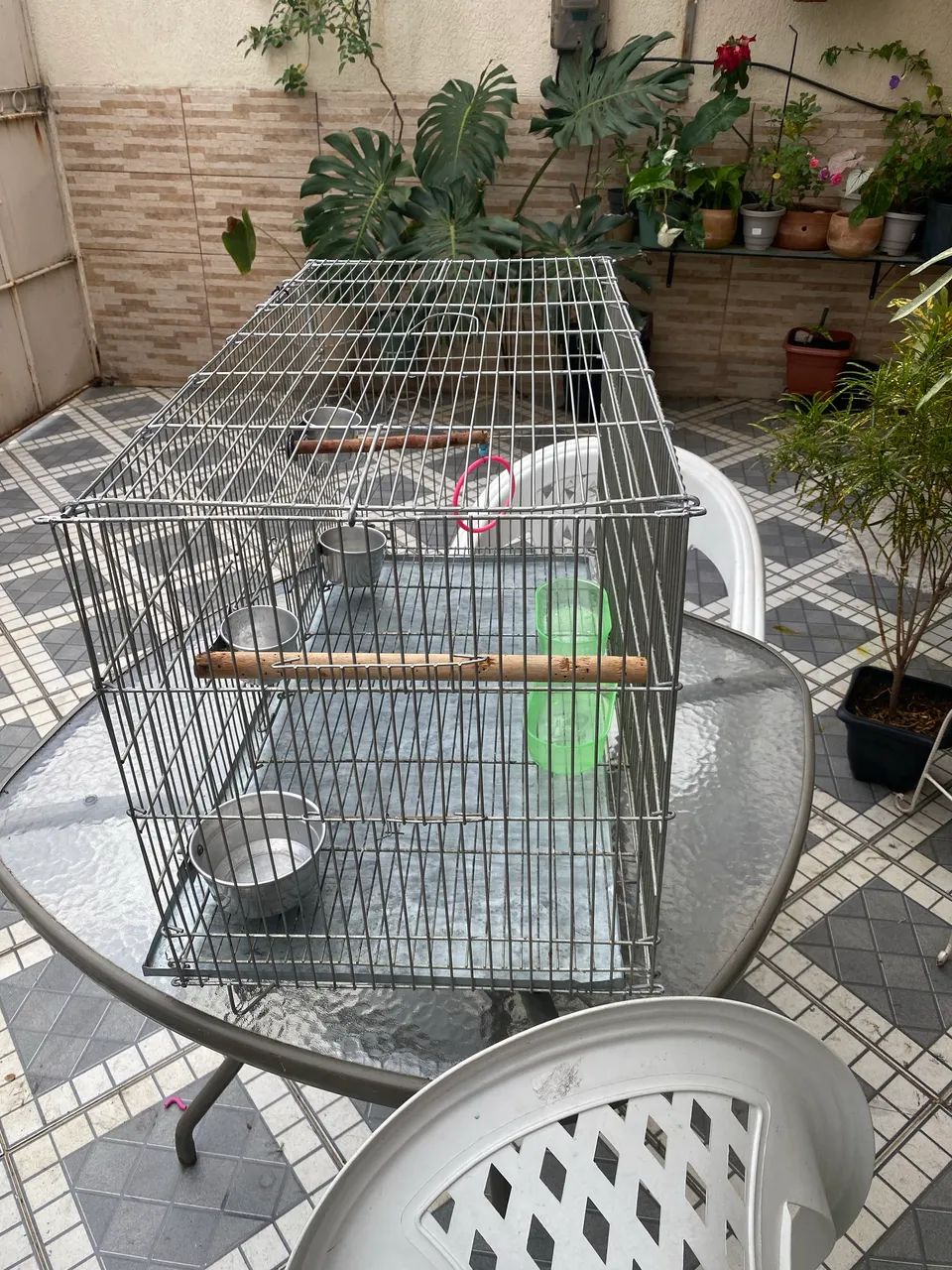 Gaiola ferro  - Foto 2