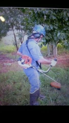 Serviços com Motoserra - Foto 2